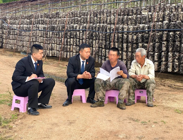 《人民法院报》：三进”菌地，“黑木耳法庭”呵护乡村梦想”