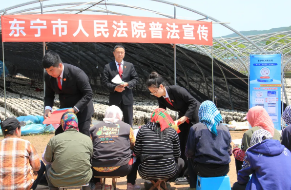 《人民法院报》：三进”菌地，“黑木耳法庭”呵护乡村梦想”