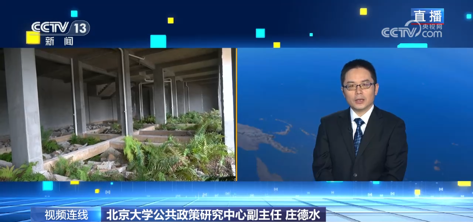 新闻1+1丨盲目建设致140亩“瑶汉养寿城”烂尾 如何整改？