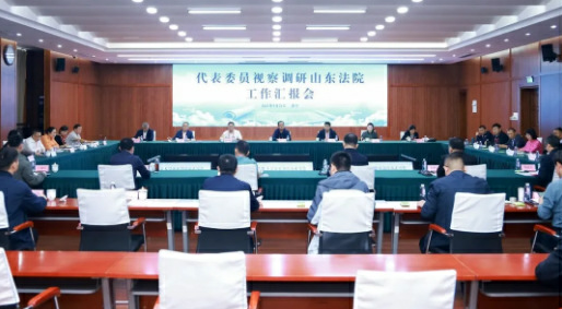 部分全国、省人大代表和政协委员视察调研山东法院工作