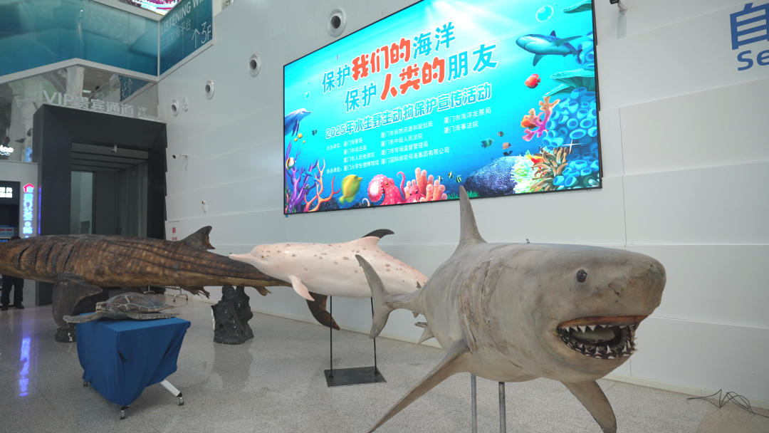 让万物生灵共享法治蓝天