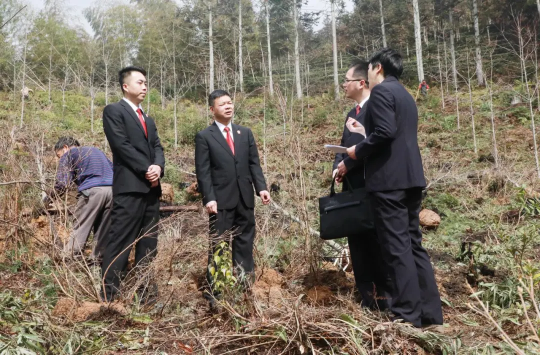 周宁法院：培法治沃土 护民生福祉