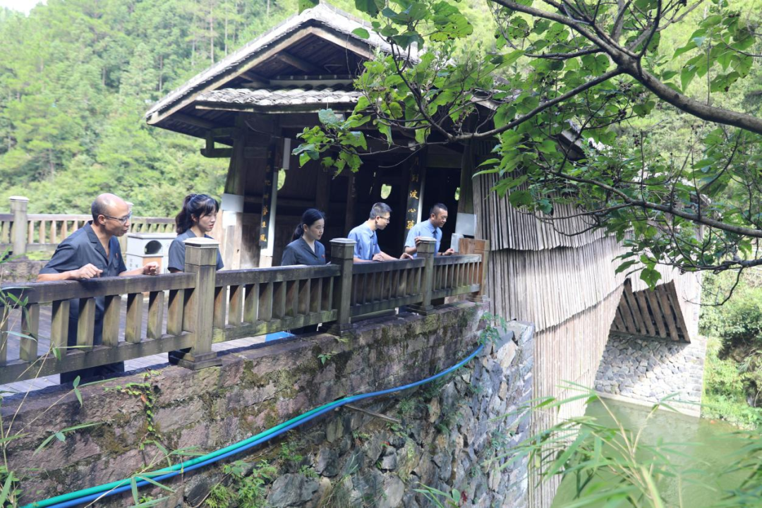 让公平正义在山海闽东落地有声——2025年宁德中院工作综述