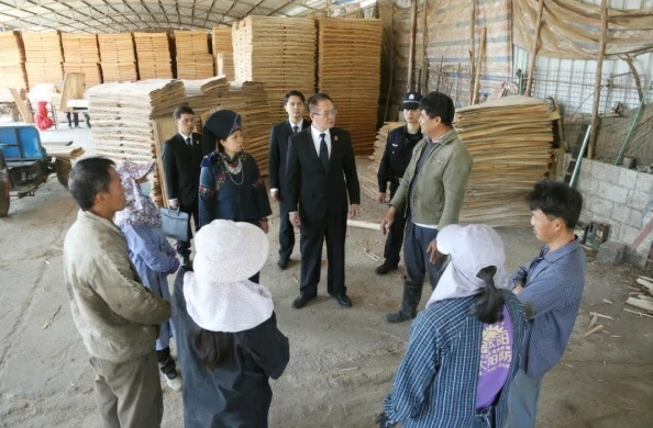 广西人大代表蓝淋：匠心守护非遗之美，俯身倾听人民心声