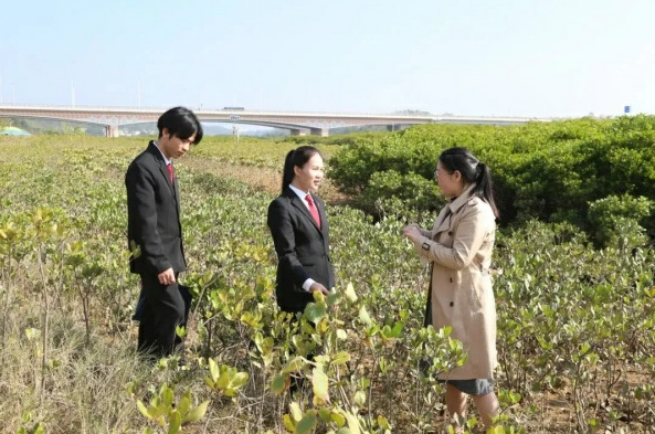 广西人大代表赵丽娟:手握民意话筒,心惦司法天平 广西人大代表赵丽娟:手握民意话筒,心惦司法天平