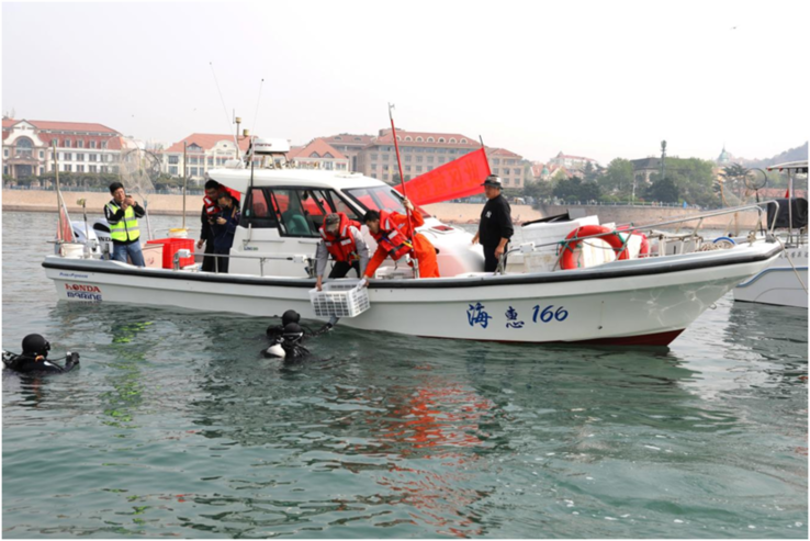 司法护绿行 齐鲁青未了——山东法院以司法之笔绘就绿水青山齐鲁画卷