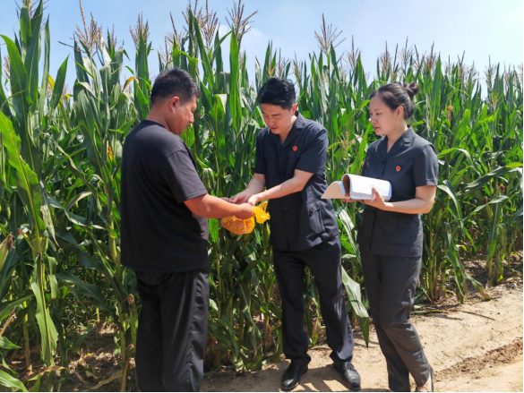 以司法之力扬创新之帆——山东法院加大知识产权保护力度助推发展新质生产力