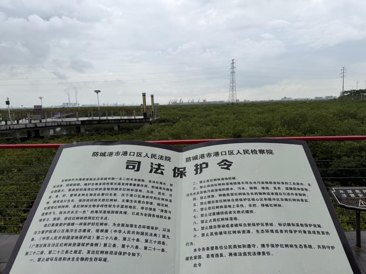 “破坏者”变“守护者”:非法电鱼后,法院为何判他“捡垃圾”? “破坏者”变“守护者”:非法电鱼后,法院为何判他“捡垃圾”?