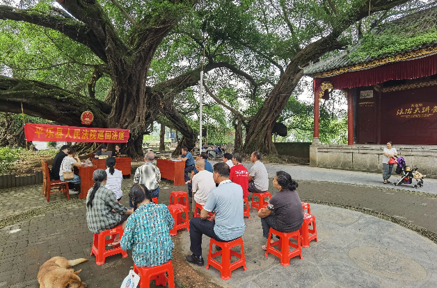千年古榕下的“法治密码” 千年古榕下的“法治密码”